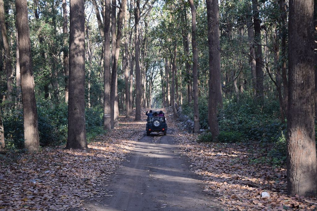Jhirna Zone