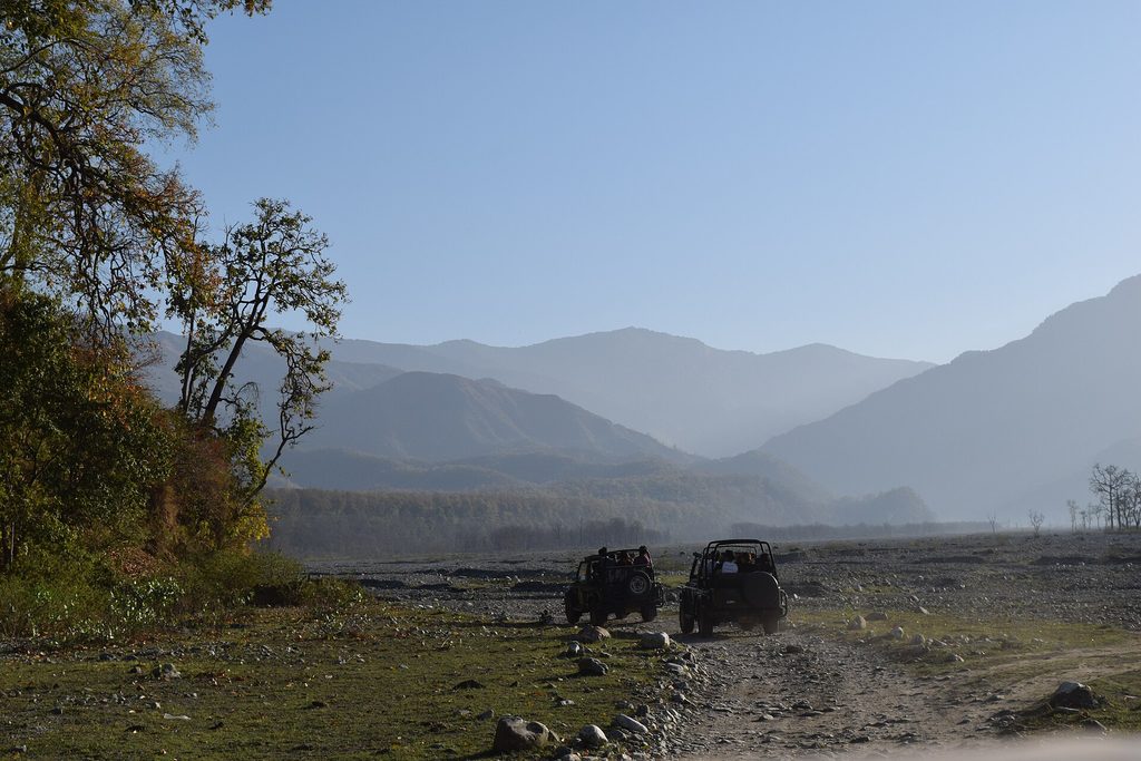 Morning jeep safari
