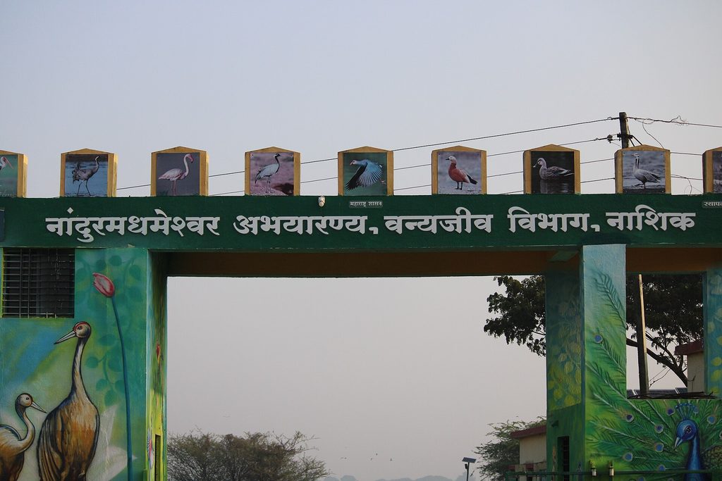 Nandur Madhmeshwar Bird Sanctuary