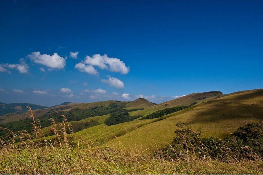 October–February time view