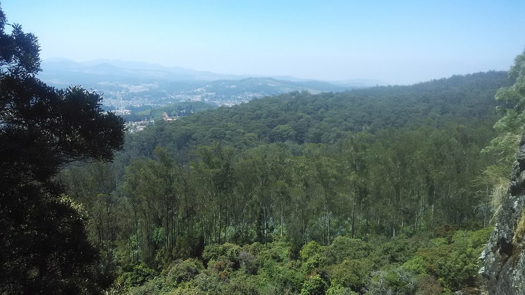 Doddabetta Peak. Photo