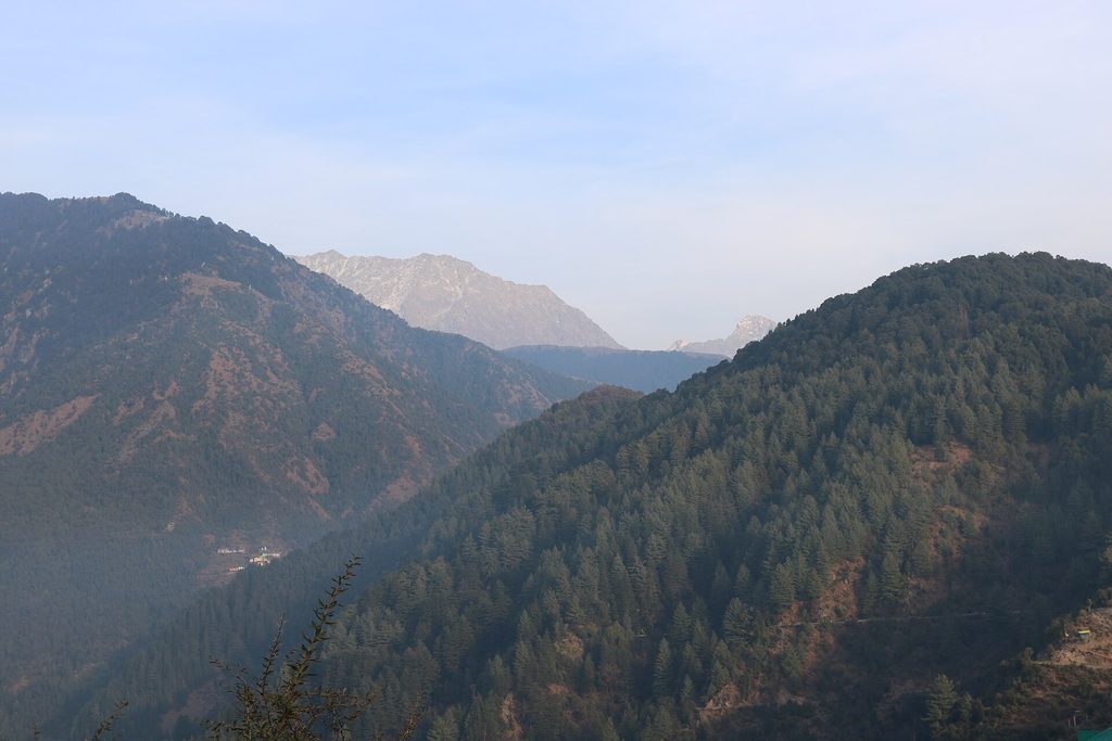 Pine-covered hills and ridges around Kasauli viewed from above