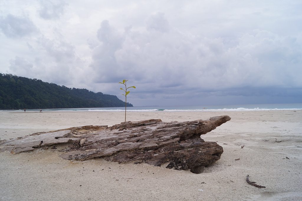 Radhanagar Beach