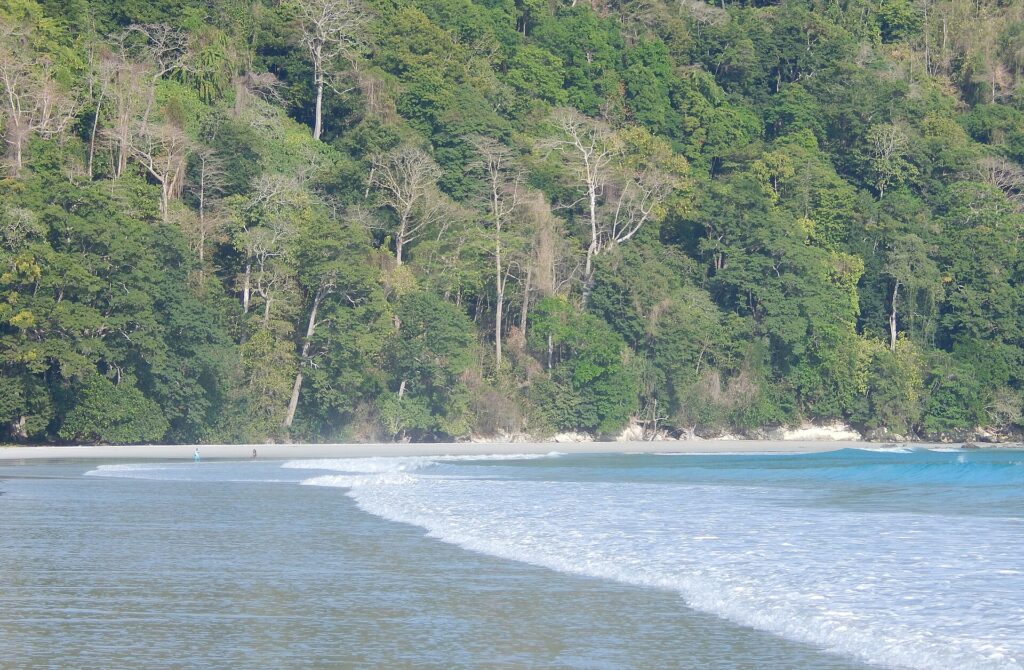 Radhanagar Beach on Havelock Island with blue waves and tropical forest