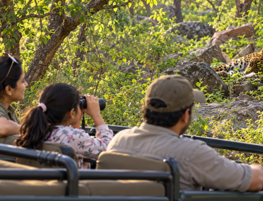 Jhalana Leopard Safari, Jaipur