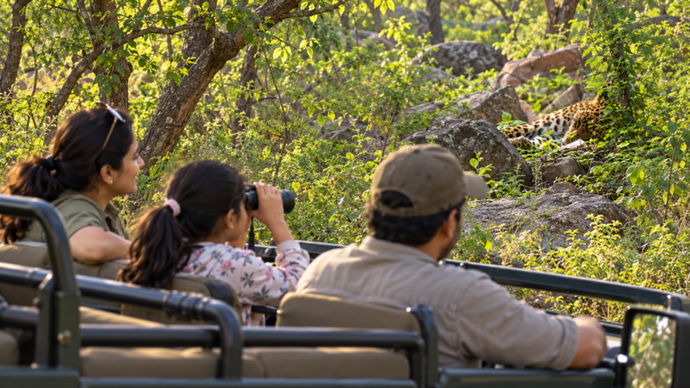Jhalana Leopard Safari, Jaipur
